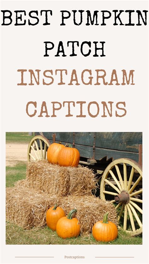 pumpkin patch captions|instagram pumpkin patch captions.